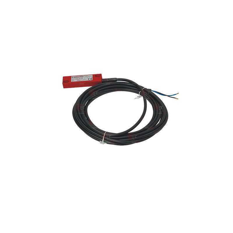 LIMT MICROSWITCH 250V